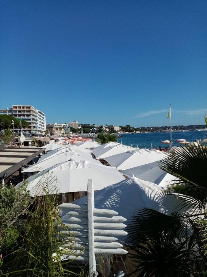 Apartment Stylish New 1 Bedroom In Juan Les Pins *